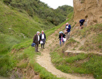 Geological formation